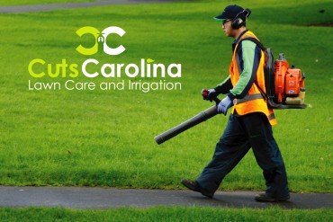 logo designing services, logo design services, logo services, logo service, logo for services, free logo services, logo design service, logo creation services, professional logo design service, professional logo design services, custom logo design, custom logo maker, custom business logo, custom logo designs, customized logo design, custom logo design services, custom business logos, design custom logo, custom logo design company, affordable logo design, affordable logo design packages, affordable logo design services, Keyword Group 4: Best Logo Design, best logo design company, best logo design, logo company, logo design company, best logo design company, custom logo design company, custom company logo design, logo development company, design logo company, professional logo design company